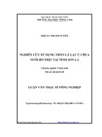 nghiên cứu sử dụng thân lá lạc ủ chua nuôi bò thịt tại tỉnh sơn la