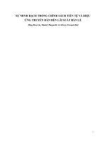 Tiểu luận môn Tài chính quốc tế SỰ MINH BẠCH TRONG CHÍNH SÁCH TIỀN TỆ VÀ HIỆU ỨNG TRUYỀN DẪN ĐẾN LÃI SUẤT BÁN LẺ