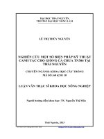 nghiên cứu một số biện pháp kỹ thuật canh tác cho giống cà chua tn386 tại thái nguyên