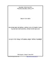 so sánh một số dòng giống sắn có triển vọng tại huyện sơn dương, tỉnh tuyên quang