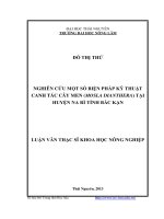 nghiên cứu một số biện pháp kỹ thuật canh tác cây men (mosla dianthera) huyện na rì tỉnh bắc kạn