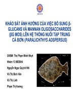 khảo sát ảnh hưởng của việc bổ sung β -glucans và mannan oligosaccharides (βg mos) lên hệ thống nuôi tập trung cá bơn ( paralichthys adspersus)