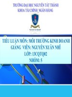 Tiểu luận môn môi trường kinh doanh