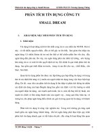 Tiểu luận quản trị rủi ro PHÂN TÍCH TÍN DỤNG CÔNG TY SMALL DREAM