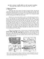 địa chất cấu tạo bài tập số 1