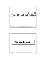 chuyên đề phân tích báo cáo bộ phận