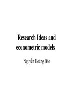 Slide research ideas and econometric models    dự báo kinh tế và phân tích dữ liệu
