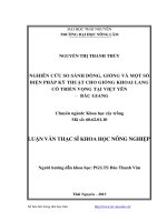 nghiên cứu so sánh dòng, giống và một số biện pháp kỹ thuật cho giống khoai lang có triển vọng tại việt yên - bắc giang