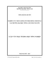 nghiên cứu nhân giống invitro dòng chuối nl1 tại trường đại học nông lâm thái nguyên