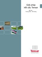 Giải pháp kết cấu cho lưới địa kĩ thuật Tensar ở Viet Nam
