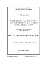 luận văn thạc sĩ nghiên cứu khả năng sinh trưởng phát triển của một số giống ngô lai tại thành phố hà giang