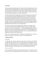 So sánh giá của các loại điện thoại và các dịch vụ hỗ trợ đi kèm