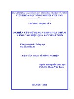 Nghiên cứu sử dụng vi sinh vật nhằm nâng cao hiệu quả sản xuất ngô