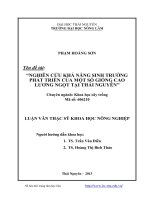 nghiên cứu khả năng sinh trưởng phát triển của một số giống cao lương ngọt tại thái nguyên