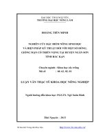 nghiên cứu đặc điểm nông sinh học và biện pháp kỹ thuật đối với một số dòng, giống mận có triển vọng tại huyện ngân sơn tỉnh bắc kạn