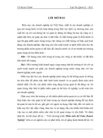 viết chương trình phần mền kế toán doanh nghiệp