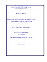 Nghiên cứu tuyển chọn một số tổ hợp lúa lai mới có triển vọng tại tỉnh gia lai