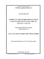 nghiên cứu một số biện pháp kỹ thuật canh tác đối với cây ô đầu (phụ tử) tại sa pa - lào cai
