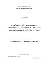 nghiên cứu nhân giống địa lan trần mộng xuân (cymbidium lowianum) bằng phương pháp nuôi cấy in vitro