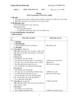 Giáo án tập làm văn lớp 5