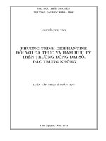 phương trình diophantine đối với đa thức và hàm hữu tỷ trên trường đóng đại số, đặc trưng không