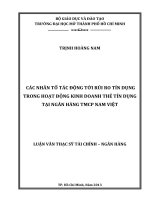 Các nhân tố tác động tới rủi ro tín dụng trong hoạt động kinh doanh thẻ tín dụng tại ngân hàng TMCP Nam Việt