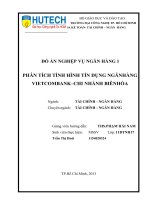 Đồ án Nghiệp vụ ngân hàng 1: Phân tích tình hình tín dụng ngân hàng Vietcombank – chi nhánh Biên Hòa