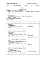 Giáo án khoa học lớp 5