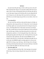 skkn sự thay đổi về lượng dẫn đến sự thay đổi về chất.