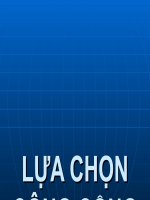 tài liệu lựa chọn công cộng