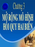 slide bài giảng kinh tế lượng chương 3 mở rộng mô hình hồi quy 2 biến