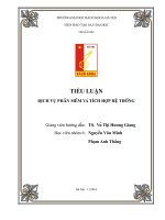 TIỂU LUẬN DỊCH VỤ PHẦN MỀM VÀ TÍCH HỢP HỆ THỐNG