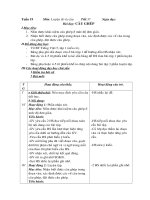 Giáo án luyện từ và câu lớp 5 HK2