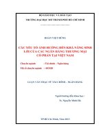 Các yếu tố ảnh hưởng đến khả năng sinh lời của các ngân hàng thương mại cổ phần tại Việt Nam