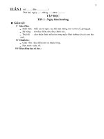 Kế hoạch giảng dạy lớp 4 tuần 1