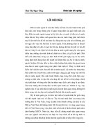 Khóa luận đầu tư của Mỹ vào Việt Nam – thực trạng và triển vọng