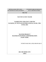 Marketing strategy for FDI banking in Vietnam International Bank (VIB) until 2015