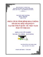 Phân tích tình hình hoạt động tín dụng đối với DNNVV tại ngân hàng TMCP quốc tế Việt Nam Phòng giao dịch Võ Thị Sáu