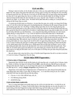 tìm hiểu hệ điều hành peppermint one