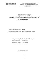 nghiên cứu công nghệ sản xuất malt từ lúa nếp than