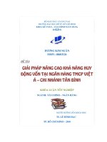 Giải pháp nâng cao khả năng huy động vốn tại Ngân hàng TMCP Việt Á Chi nhánh Tân Bình