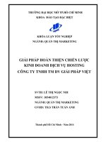 Giải pháp hoàn thiện chiến lược kinh doanh dịch vụ Hosting công ty TNHH thương mại dịch vụ Giải Pháp Việt