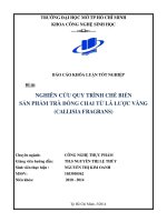 Nghiên cứu quy trình chế biến sản phẩm trà đóng chai từ lá lược vàng (Callisia Fragrans)