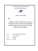 Nghiên cứu khả năng kháng Oxy hóa của dịch chiết nước nấm linh chi (Ganoderma lucidum) khi được bổ sung chất cảm ứng Auxin vào giá thể trồng