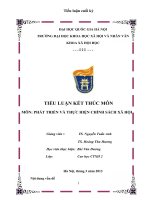 TIỂU LUẬN KẾT THÚC MÔN MÔN: PHÁT TRIỂN VÀ THỰC HIỆN CHÍNH SÁCH XÃ HỘI