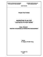 Marketing plan for Lactacyd FH for teens