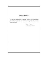 Chiến lược marketing nhằm phát triển ngành hàng hóa chất mỹ phẩm tại thị trường Việt Nam đến năm 2010 của Công ty Nam Du