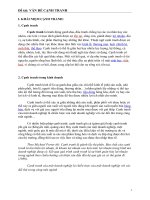 PHÂN TÍCH CÁC VẤN ĐỀ LIÊN QUAN ĐẾN CẠNH TRANH