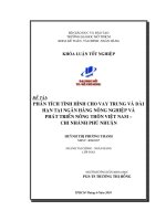 Phân tích tình hình cho vay trung và dài hạn tại Ngân hàng nông nghiệp và phát triển nông thôn Việt Nam Chi nhánh Phú Nhuận