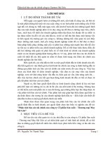 Phân tích báo cáo tài chính của công ty Cổ phần Sản xuất – Thương mại May Sài Gòn